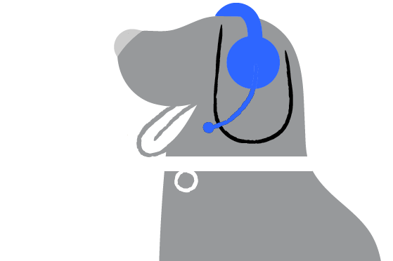 dog using headphone headset 